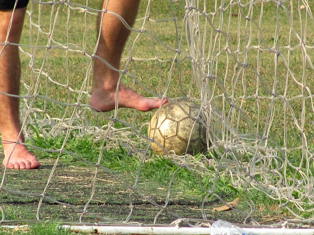 img2.jpg